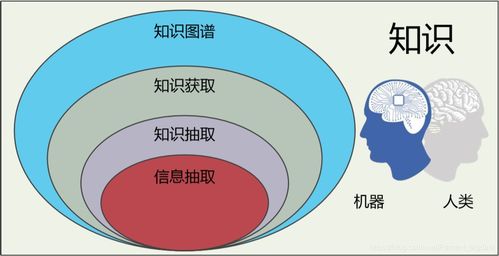 信息抽取在知識(shí)圖譜構(gòu)建中的實(shí)踐與應(yīng)用